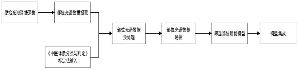 一种基于便携式近红外光谱仪的体质判别系统及方法与流程