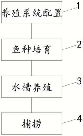 一种加州鲈鱼水槽养殖方法