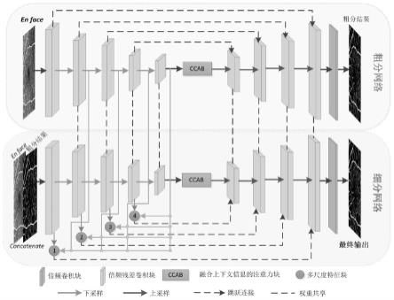 基于深度卷积神经网络的OCTA图像血管分割方法、设备及介质