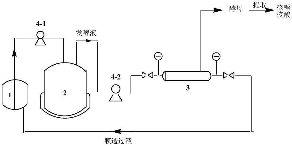 一种利用连续发酵分离一体化技术培养酿酒酵母的方法与流程