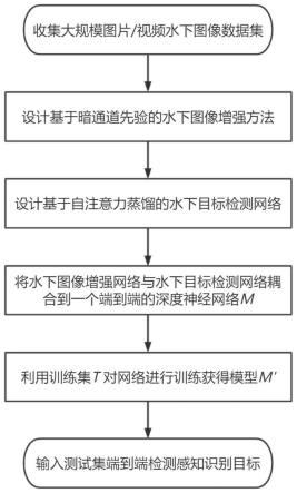 基于自注意力蒸馏和图像增强的水下目标检测方法及系统