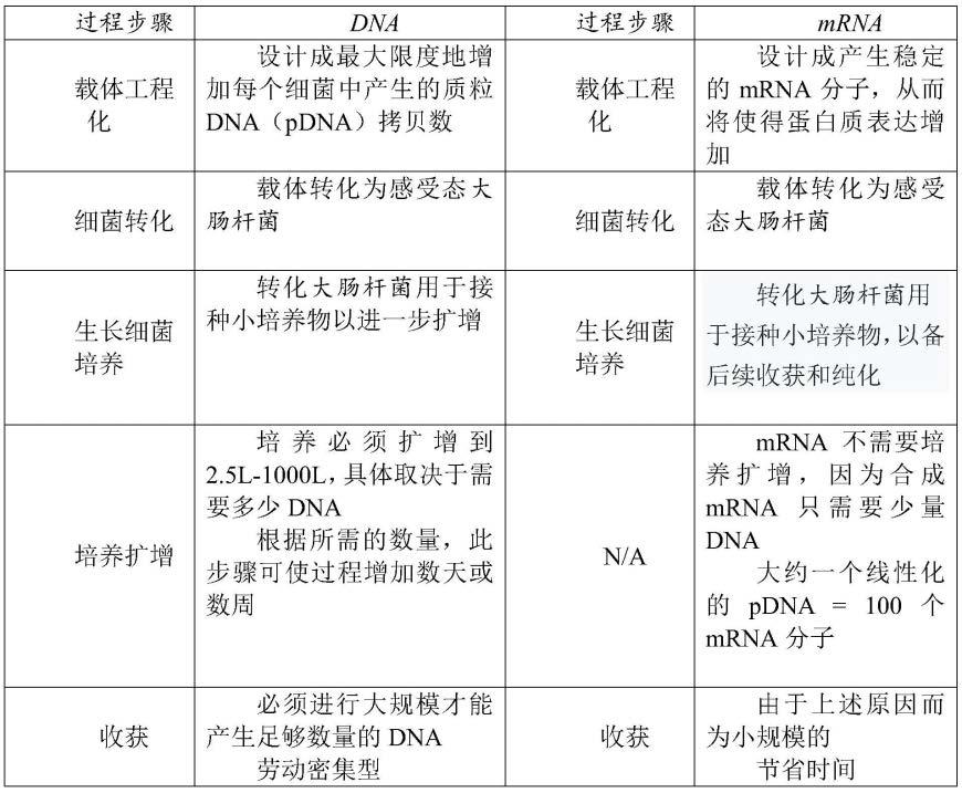 用于多细胞转化的经修饰MRNA的制作方法