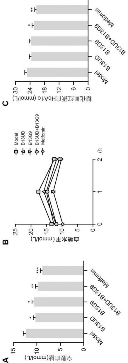 一种治疗和/或预防糖脂代谢异常的微生物组合物及其应用的制作方法