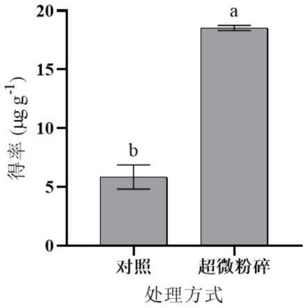 一种低共熔溶剂可持续提取β-胡萝卜素的方法及应用