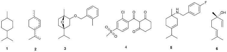 一种四氢芳樟基仲胺类化合物及其制备方法与除草应用与流程