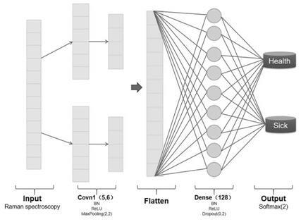 一种基于卷积神经网络的新型冠状病毒拉曼光谱分类方法与流程