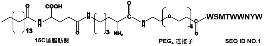 一种具有CD47/SIRPα阻断效果的母体肽或衍生肽及其应用