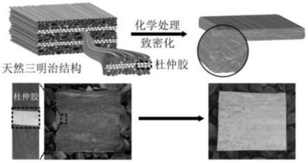 一种防水耐磨性杜仲树皮基绝热材料的制备方法及其应用