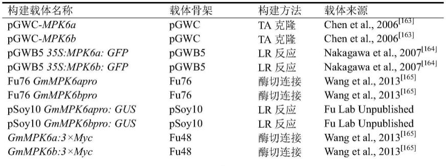 一种表达荧光基因的根瘤菌HH103及其构建方法与应用