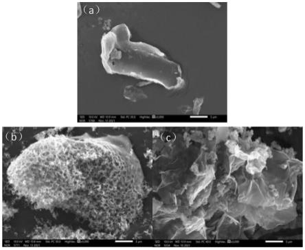 一种氮掺杂生物炭及其制备方法和应用