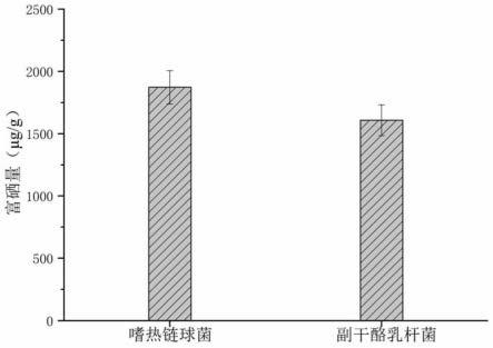 一种富硒后生元酸羊奶条及制备方法