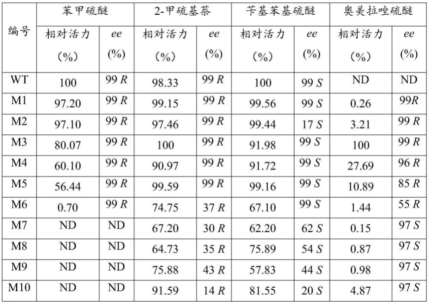 一种环己酮单加氧酶突变体及其应用