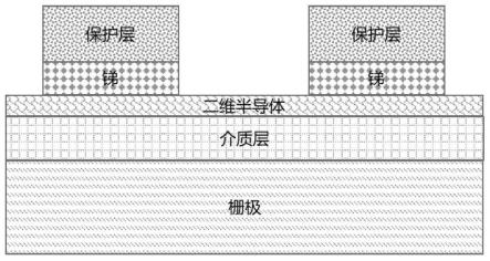 二维半导体-金属欧姆接触结构、制备方法及应用