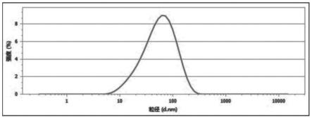 具有肿瘤靶向性的去甲斑蝥素纳米结构脂质载体及其制备方法与流程