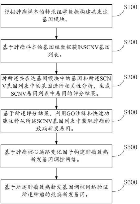 基于肿瘤样本的多组学联合分析方法和系统与流程