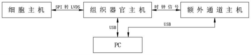 一种隔离式多通道电标测系统的制作方法