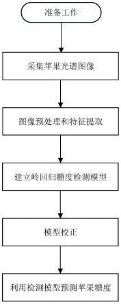 一种基于机器学习的苹果糖度无损检测方法