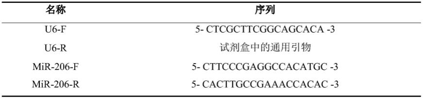 一种micorRNA206抑制HCV增殖的建立方法