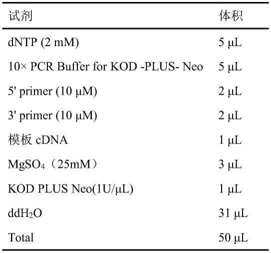 一种仁用杏PasLEA3-2基因及其在抗寒、促进植物提前开花或种子结实中的应用的制作方法