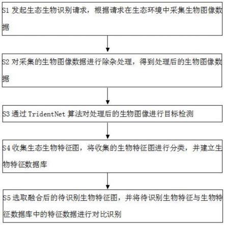 基于TridentNet算法的生态生物识别方法与流程