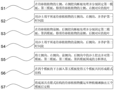 适用于红树林大树的移植方法