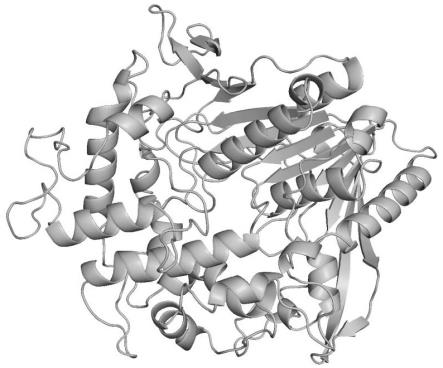 一种双功能融合蛋白PETase-MHETase变体的制作方法