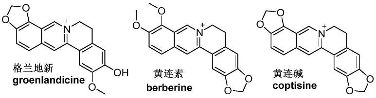 异喹啉类化合物制备抗冠状病毒产品中的用途的制作方法