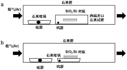 一种二维材料扭角WS2的制备及二维材料扭角WS2(57)摘要