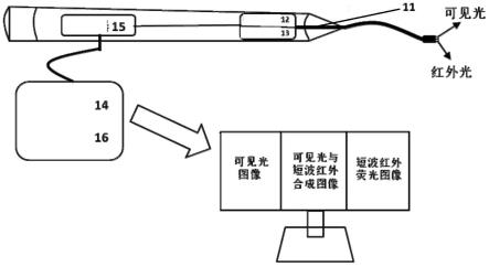 宽谱荧光内窥镜装置