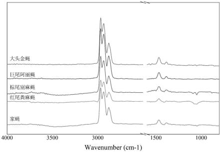 一种基于FTIR和蛹壳的种类鉴定方法