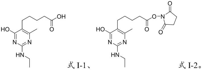 乙嘧酚半抗原、完全抗原、抗体及制备方法和应用