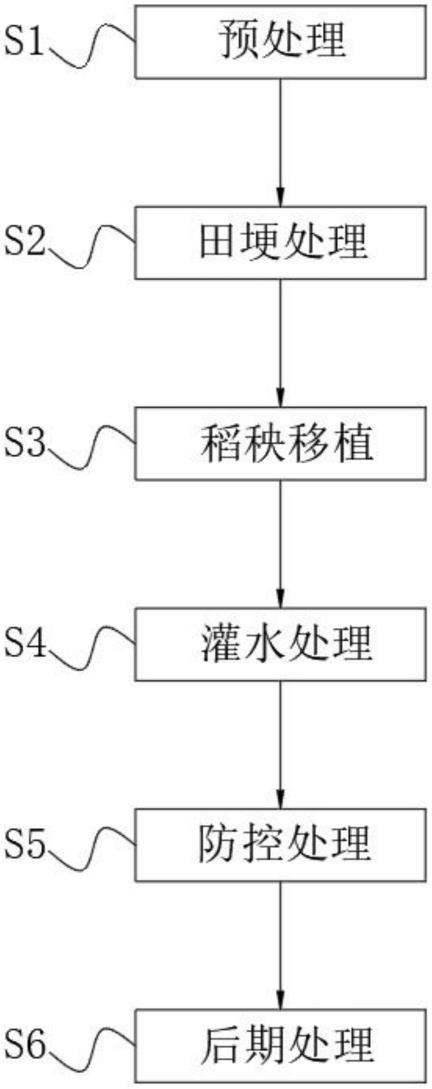 一种有机水稻种植过程中的草害防控方法与流程