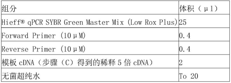 一个结核易感性筛查的生物标志物及其应用的制作方法