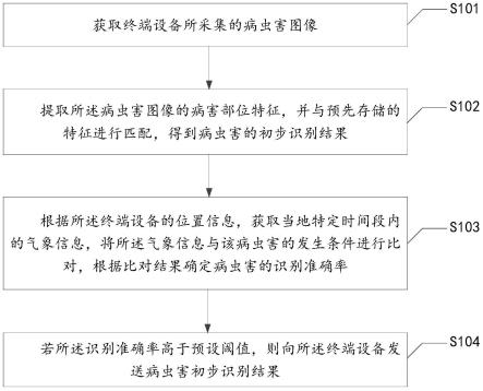 一种病虫害识别方法、装置、设备及可读存储介质与流程