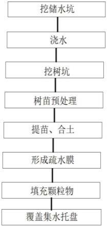 一种干旱地区的植树构造的制作方法