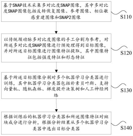 基于SNAP技术的斑块成分分析方法及装置与流程