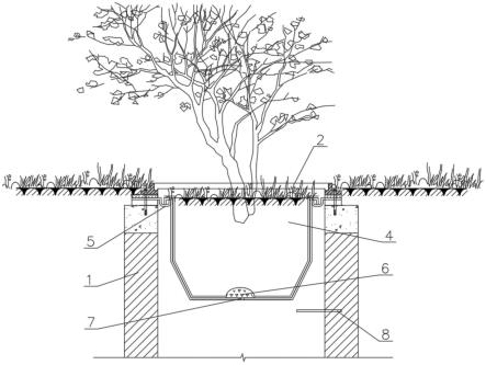 带植物种植盆的窨井系统的制作方法