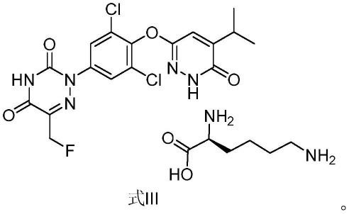 一种1，2，4-三嗪-3，5-二酮类化合物的盐型、晶型及其制备方法与流程