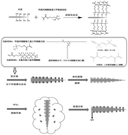 一种高选择性富集全氟化合物的固相微萃取探针的制备方法及其应用