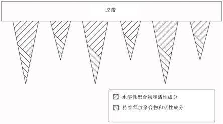 用于免疫刺激药物递送的微针贴片的制作方法