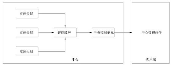 一种通过智能脖环实时监测和定位奶牛的系统的制作方法