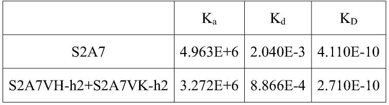 抗人CD40抗体及其用途的制作方法