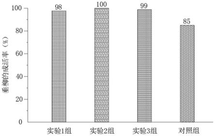 一种高水土保持力的生态驳岸工艺