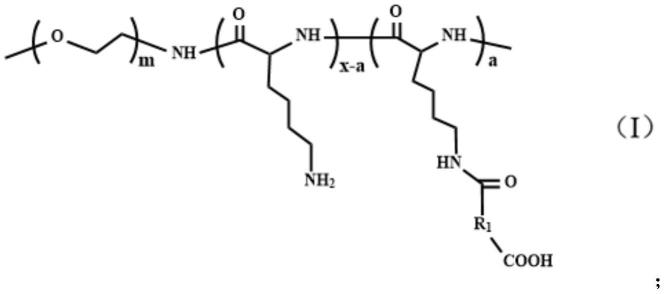 一种聚赖氨酸类大分子PαLA及其制备方法和应用