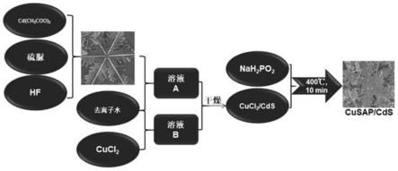 一种CuSAP/CdS光解水制氢催化剂及其制备方法与流程