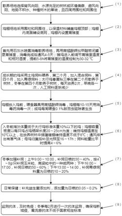 一种太行鸡高效养殖的方法与流程