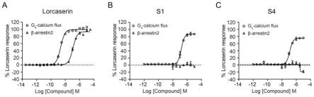 α-色烯螺哌啶类化合物在制备5-羟色胺2C受体激动剂中的应用