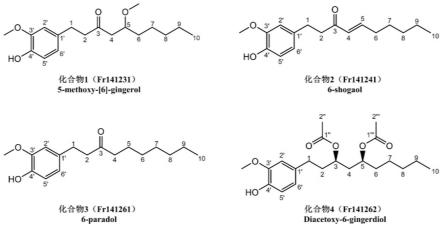 异叶青兰中姜辣素类天然自由基清除剂的分离工艺及其应用的制作方法