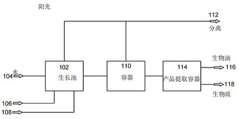 一种通过裂解藻类生物质以制造生物燃料的方法与流程