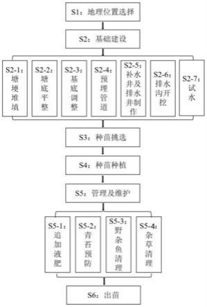 一种苦草规模化培育方法与流程